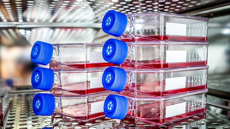 Biosolution